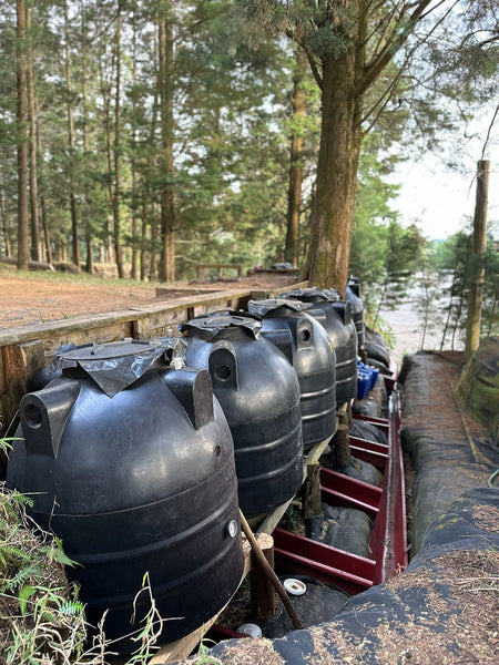 Volcan Azul Geisha/Typica Red Honey Warm Anaerobic – Picacho