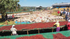 Wush Wush, 120 Hour, Ethiopia Guji, Chito