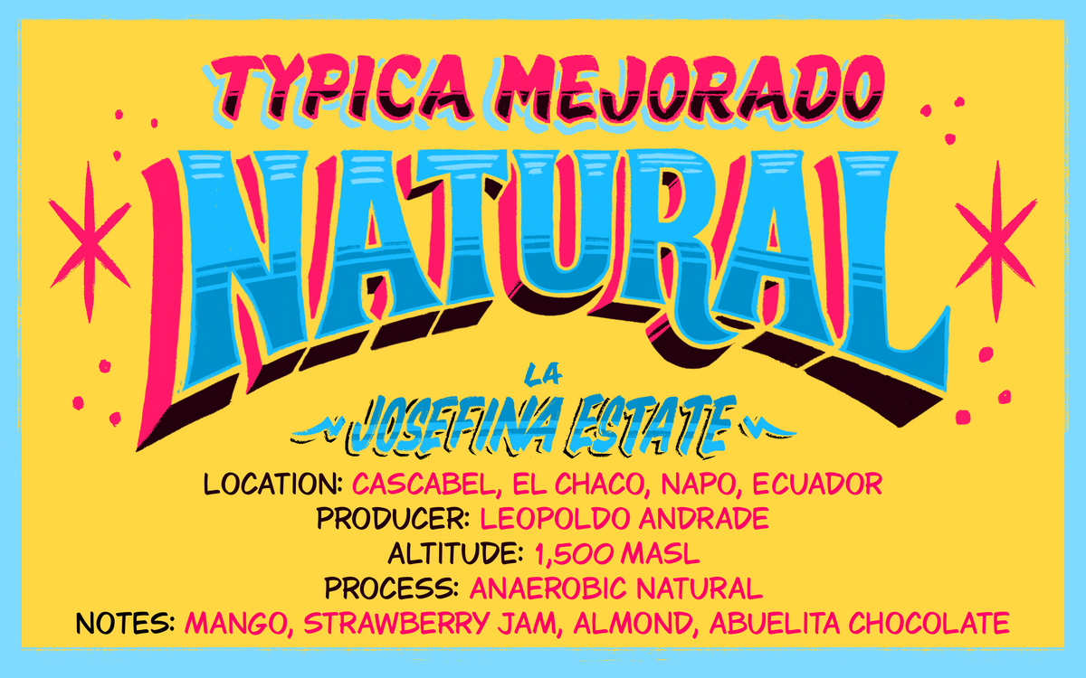 Ecuador La Josefina Estate Typica Mejorado Natural