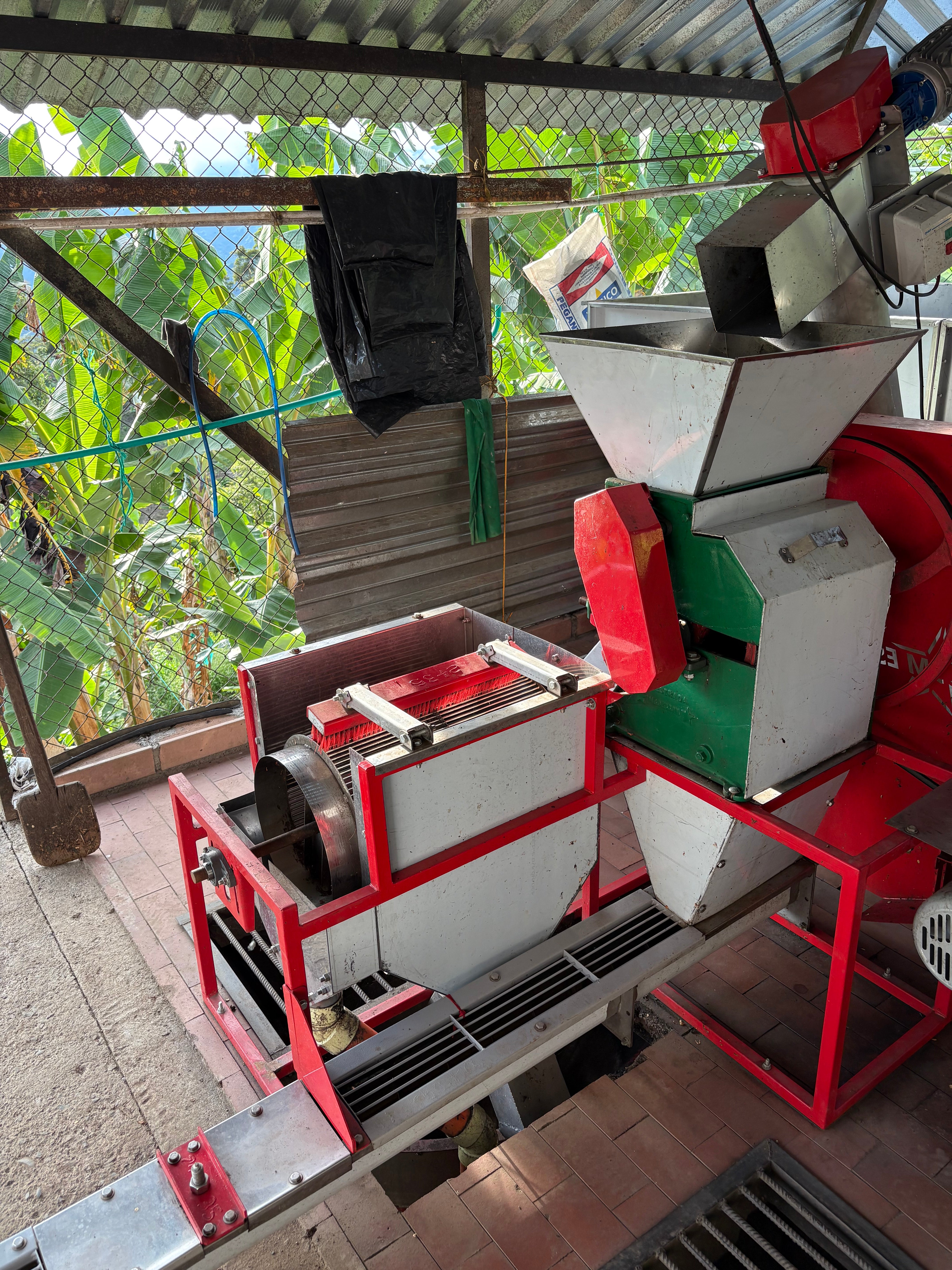 Jhony Melo  Field Blend-Buena Vista Estate. Caldas, Colombia