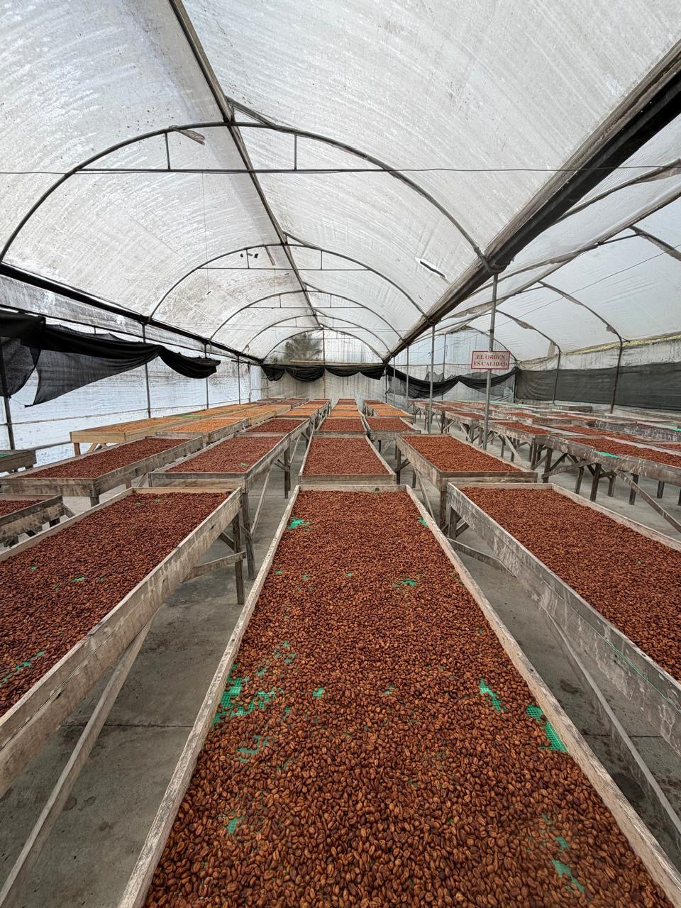 Ecuador La Josefina Estate Sidra Washed