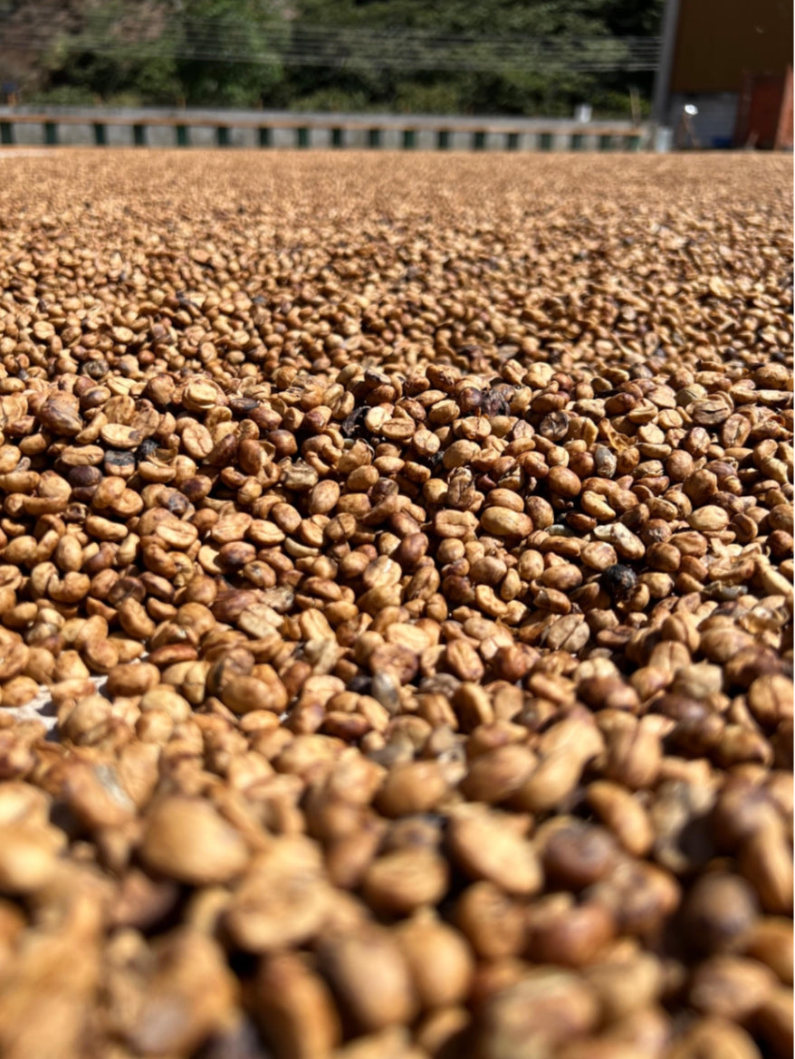 Single Origin/Estate