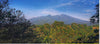 Los Naranjos and Cerro Horqueta, Chiriqui Boquete Panama