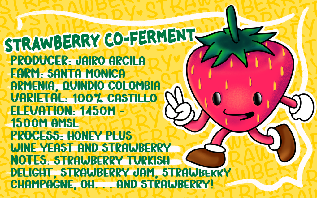 Jairo Arcila Strawberry Co-Ferment – Picacho Coffee Roasters Jairo Arcila Strawberry Co-Ferment – Picacho Coffee Roasters