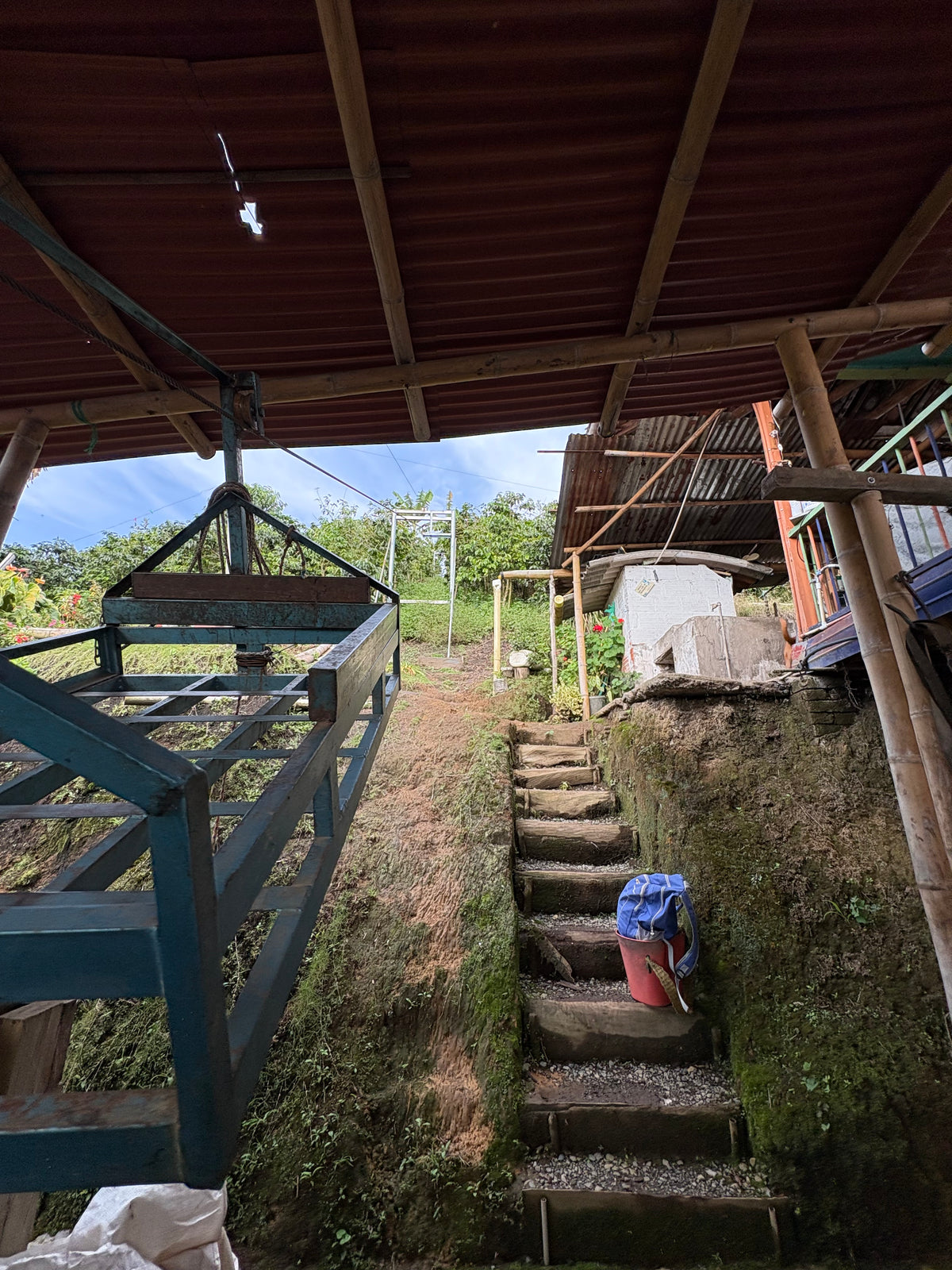 Jhony Melo  Field Blend-Buena Vista Estate. Caldas, Colombia