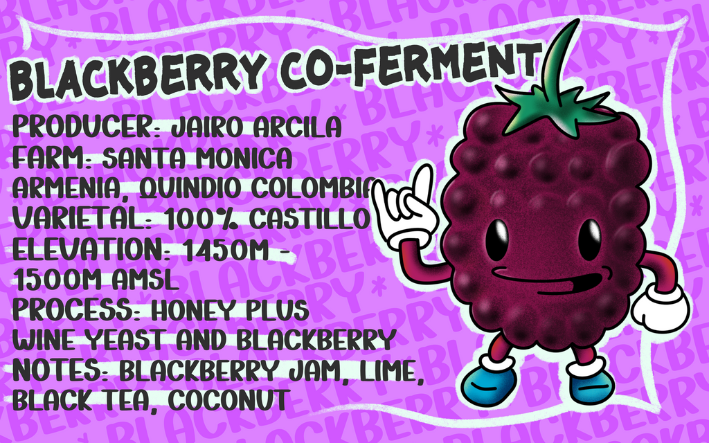 Jairo Arcila Blackberry Co-Ferment