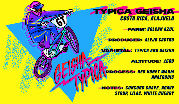Volcan Azul Geisha/Typica Red Honey Warm Anaerobic