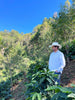Honduras, San Andrés-Lempira, Finca La Puerta