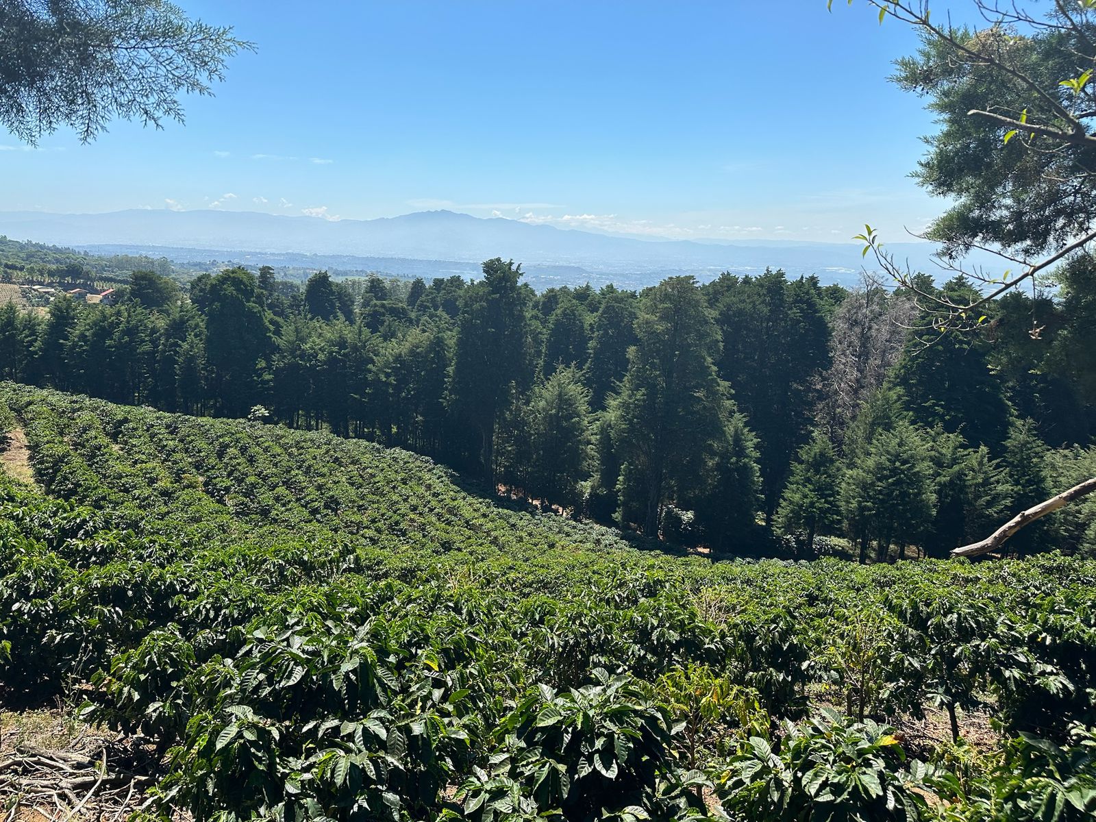 Costa Rica, Alajuela Volcancito