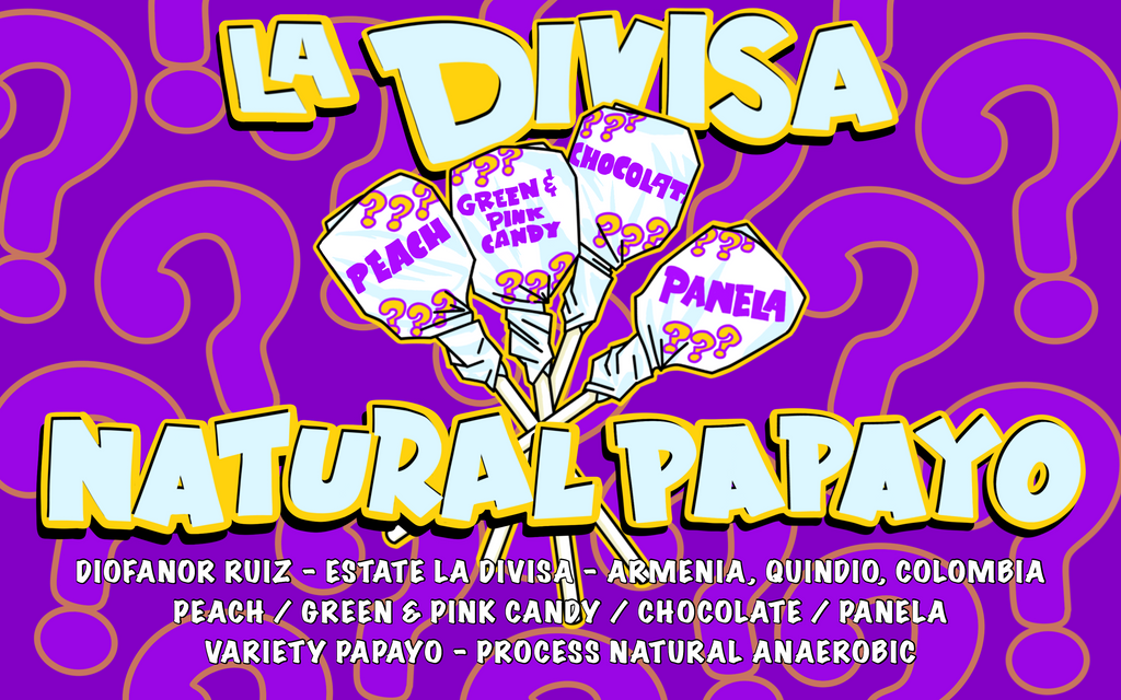 La Divisa Natural Papayo, Diofanor Ruiz  Quindo, Colombia