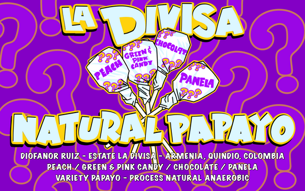 La Divisa Natural Papayo, Diofanor Ruiz  Quindo, Colombia