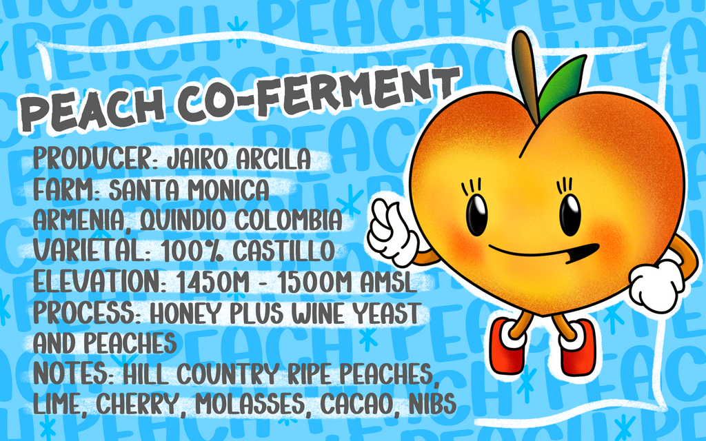 Jairo Arcila Honey Peach Co-Fermentation – Picacho Coffee Roasters Jairo Arcila Honey Peach Co-Fermentation – Picacho Coffee Roasters