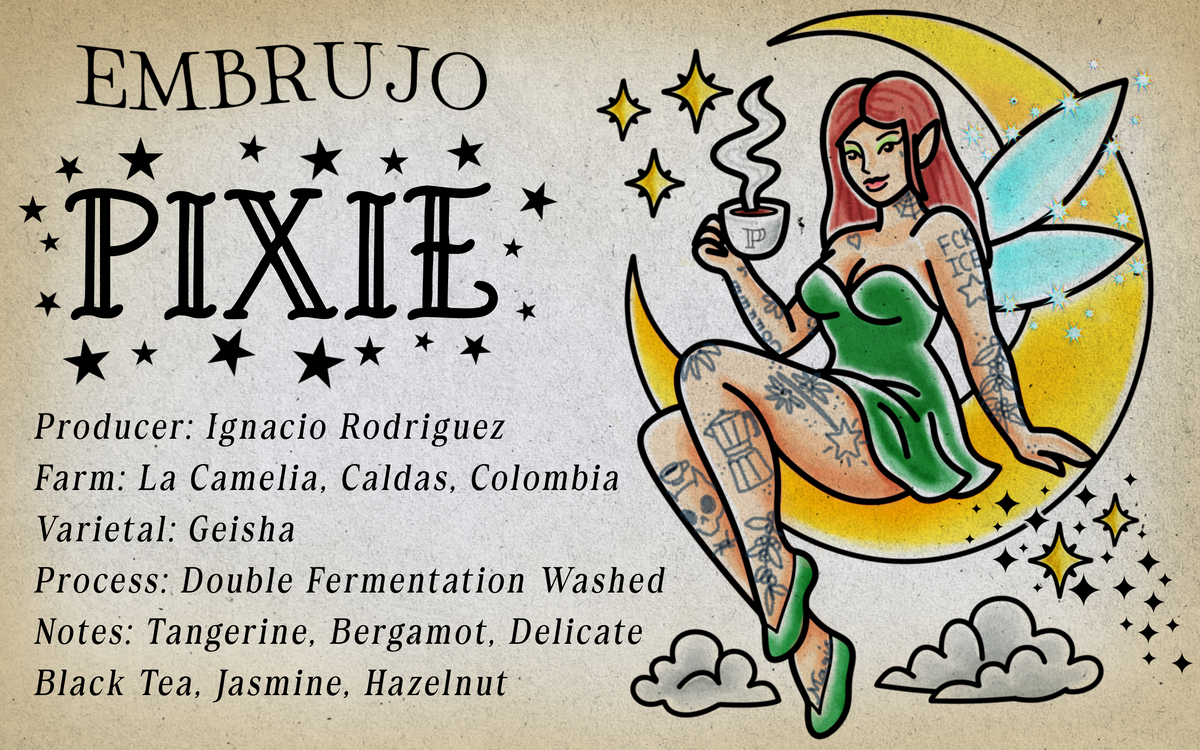 Pixie Double Fermented Washed Geisha